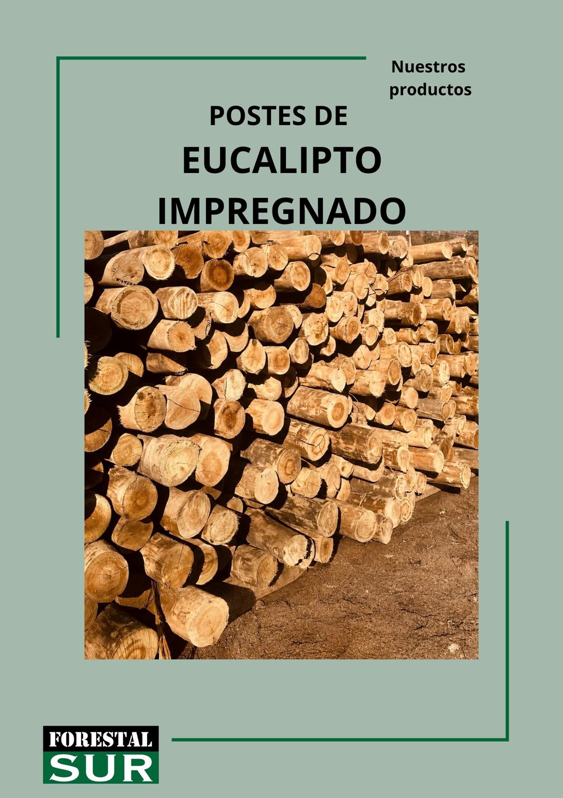 POPSTE DE EUCALIPTO IMPREGNADO - FORESTAL SUR